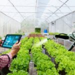 Transformação Digital na Agroindústria Brasileira: Impulsionando a Produtividade e a Sustentabilidade