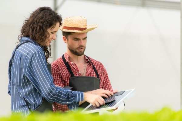 Mercado de Trabalho e Qualificação no Agronegócio