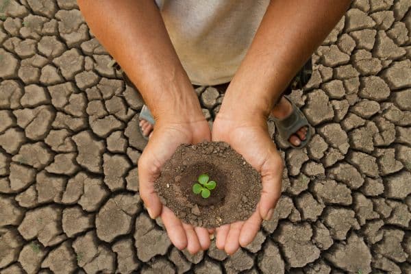 Agricultura Regenerativa e Soluções Climáticas