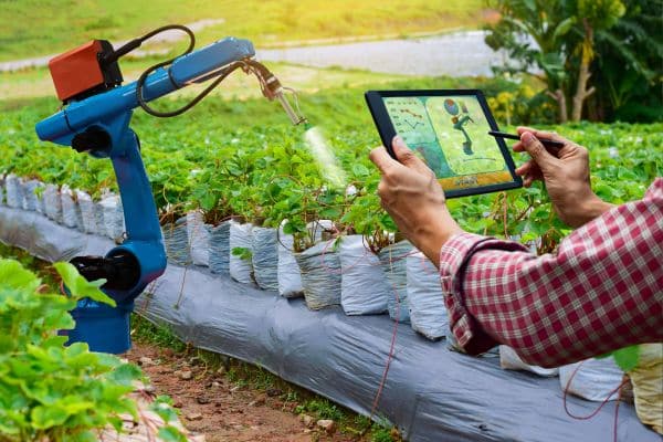 Oportunidades de Trabalho nos Setores Agrícolas