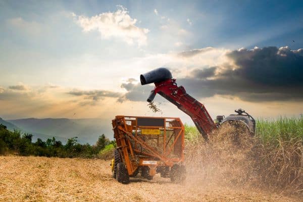 Agroindústria Brasileira e o Mercado de Trabalho