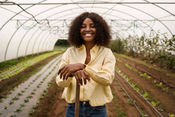 A Força da Agroindústria na Economia Brasileira