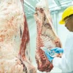 Exportações de Carne Brasileira: Principais Destinos e Barreiras Comerciais