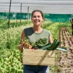 O Papel da Agroindústria Brasileira no Combate à Insegurança Alimentar Global