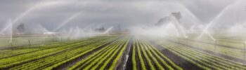 Sensores Inteligentes para Controle de Irrigação