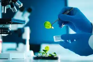 aplicações da biotecnologia na agricultura