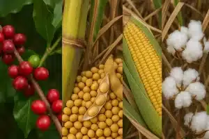 Principais produtos agrícolas do Brasil e sua importância