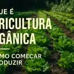 Agricultura orgânica: guia prático para começar a produzir e vender com sustentabilidade