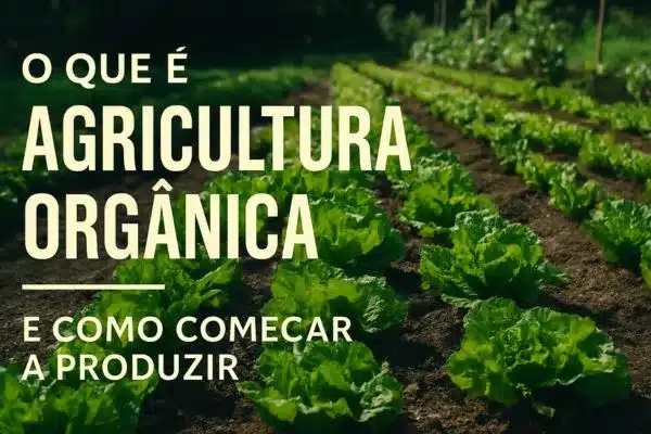 Agricultura orgânica: guia prático para começar a produzir e vender com sustentabilidade