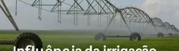 influência da irrigação na produtividade agrícola
