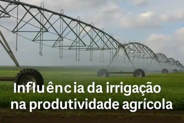 influência da irrigação na produtividade agrícola