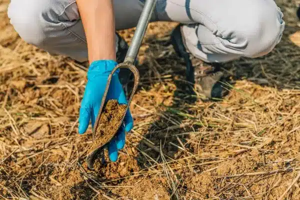 amostragem de solo representativa