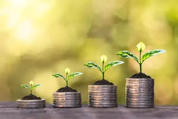 Como aumentar a rentabilidade na agricultura