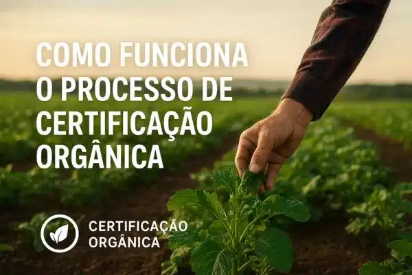Como funciona o processo de certificação orgânica
