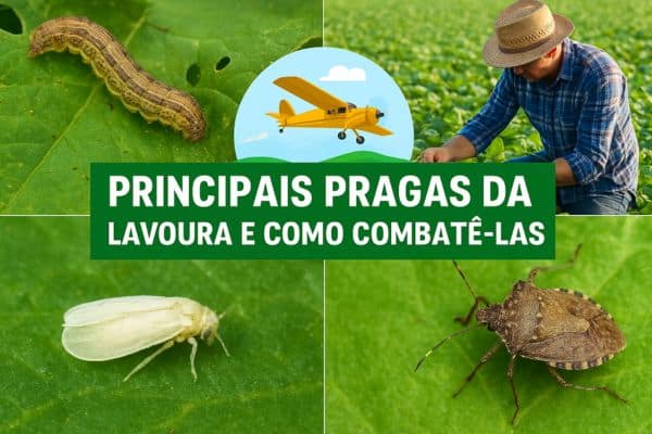 Principais Pragas da Lavoura e Como Combatê-las