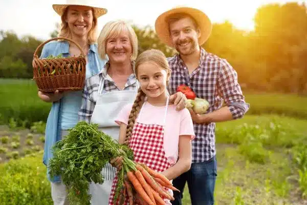 agregar valor na produção rural