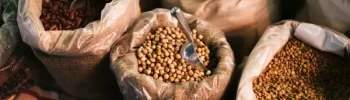 Commodities do agronegócio em destaque