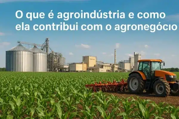 O que é agoindustria e como ela contribui com o agronegócio