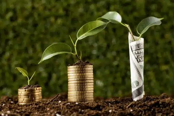 Reinvestimento de lucros na agricultura: o caminho para aumentar a competitividade