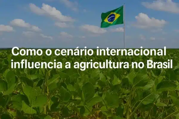 influência do cenário internacional na agricultura