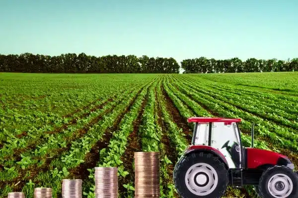 Financiamento-agrícola