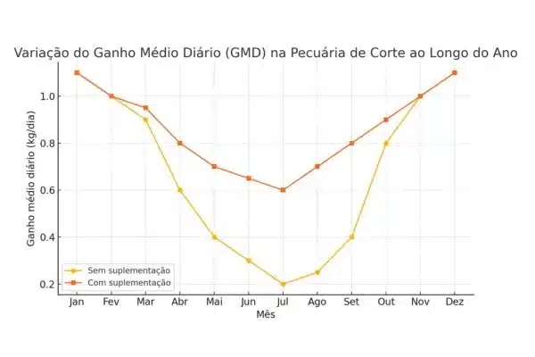 Sazonalidade na Pecuária de Corte: Táticas para Garantir Bons Resultados na Engorda a Pasto