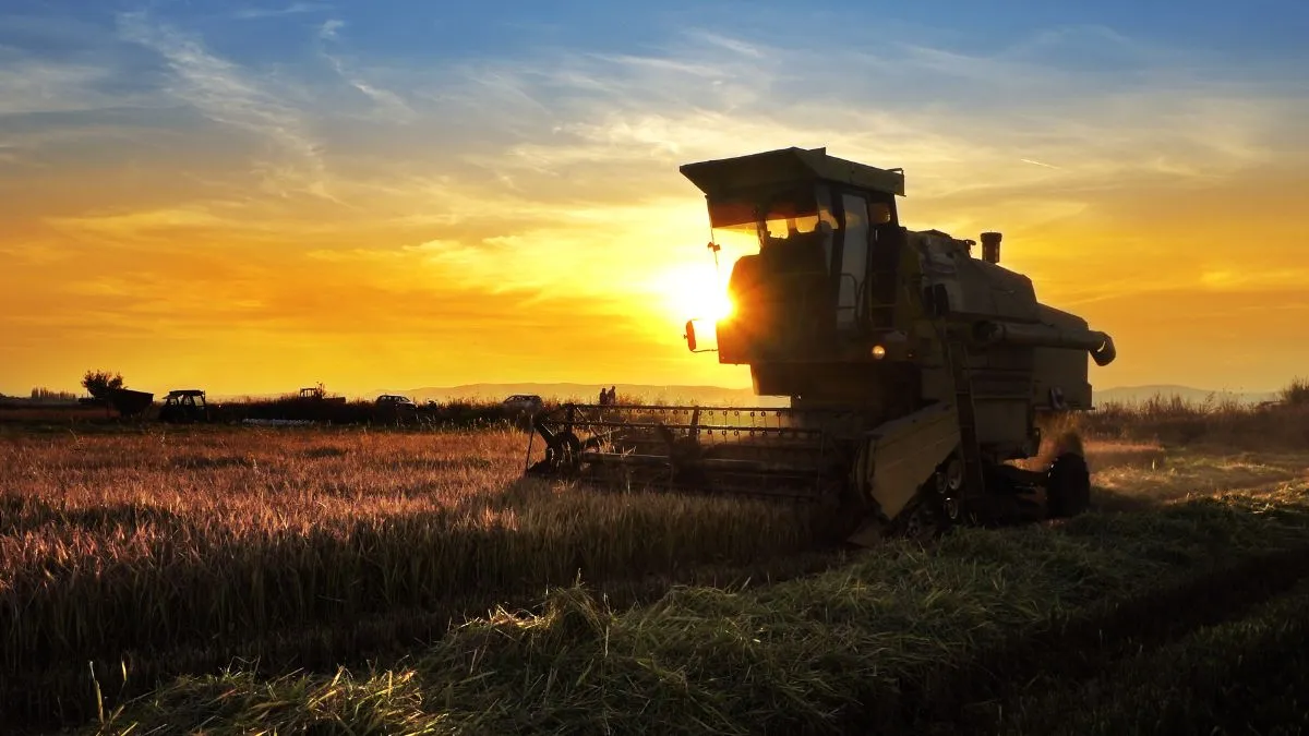 agricultura empresarial no Brasil