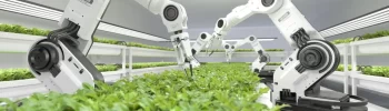 Automação Agrícola no Brasil: Guia Para Produtores Modernos