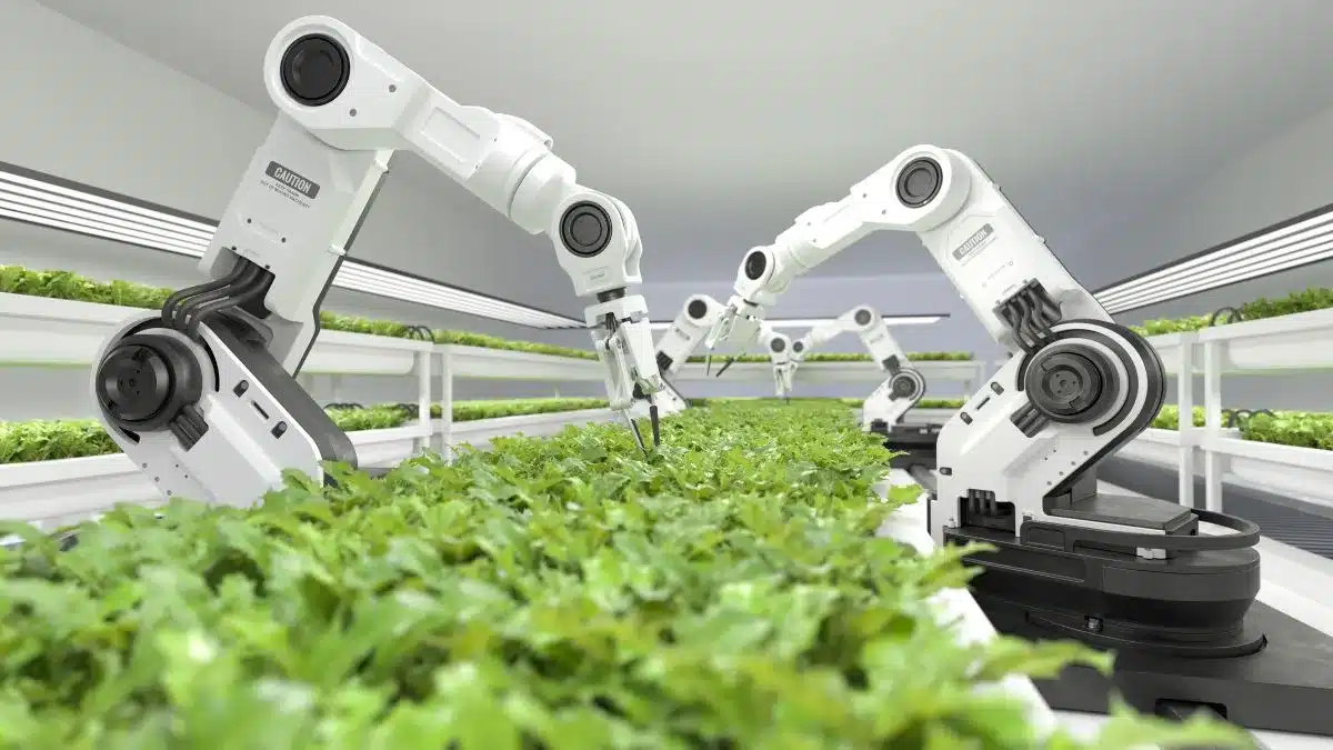 Automação Agrícola no Brasil: Guia Para Produtores Modernos
