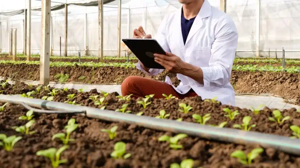 Agricultura empresarial: gestão de propriedades rurais