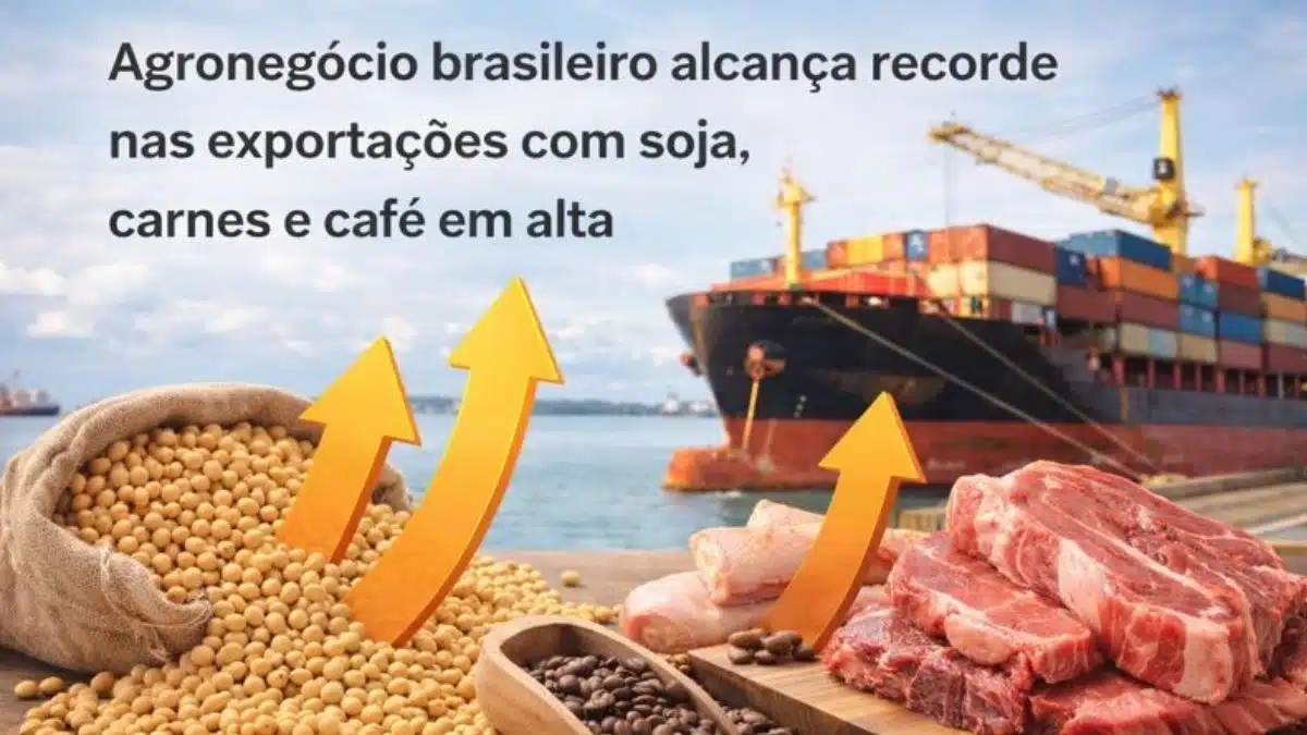 Agronegócio brasileiro alcança recorde nas exportações