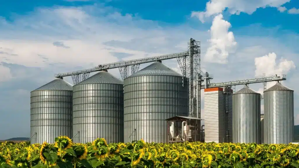 como evitar desperdícios na produção agrícola de forma prática