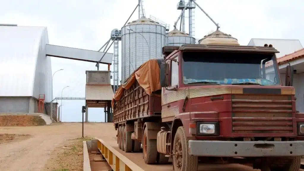 onde o produtor perde dinheiro