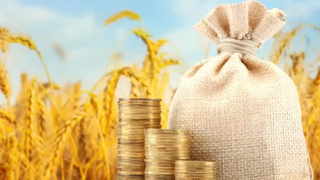 gestão financeira no agronegócio