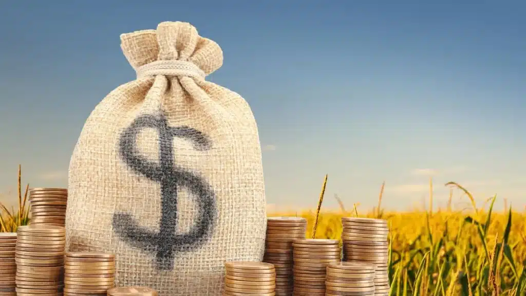 rentabilidade no agronegócio