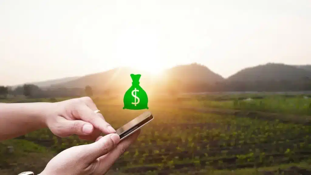 Custos ocultos na produção agrícola: o vilão silencioso