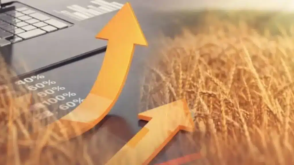 como evitar desperdício na produção agrícola