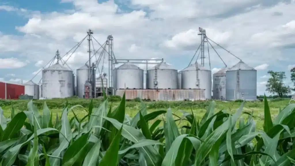 como evitar desperdício na produção agrícola