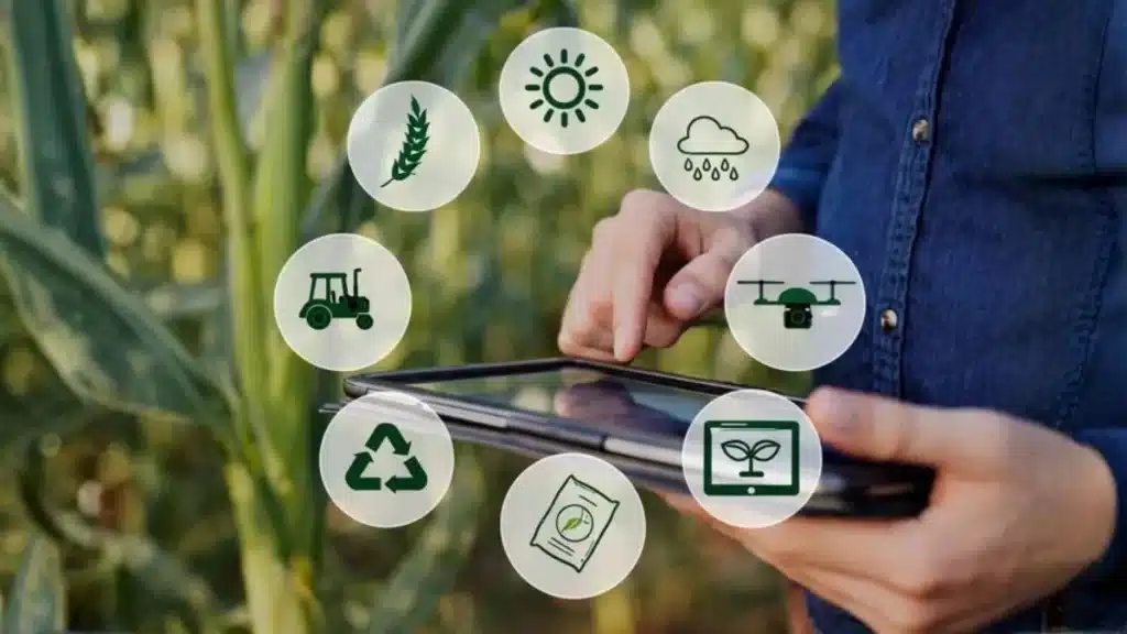 como planejar a safra diante da instabilidade climática