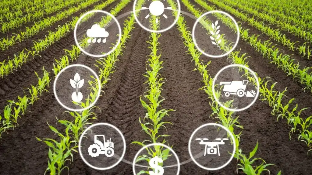 lucratividade no agronegócio