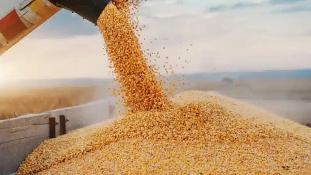 como evitar desperdício na produção agrícola