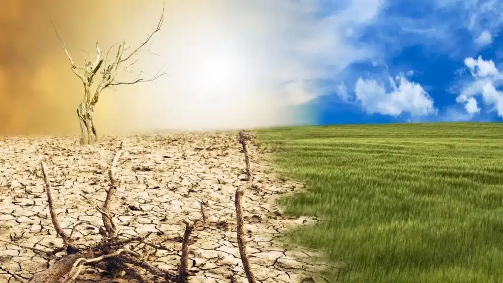 Instabilidade climática no agro e seus impactos financeiros