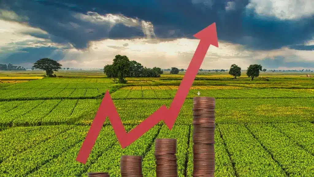 Lucratividade no agronegócio começa pelo controle de custos