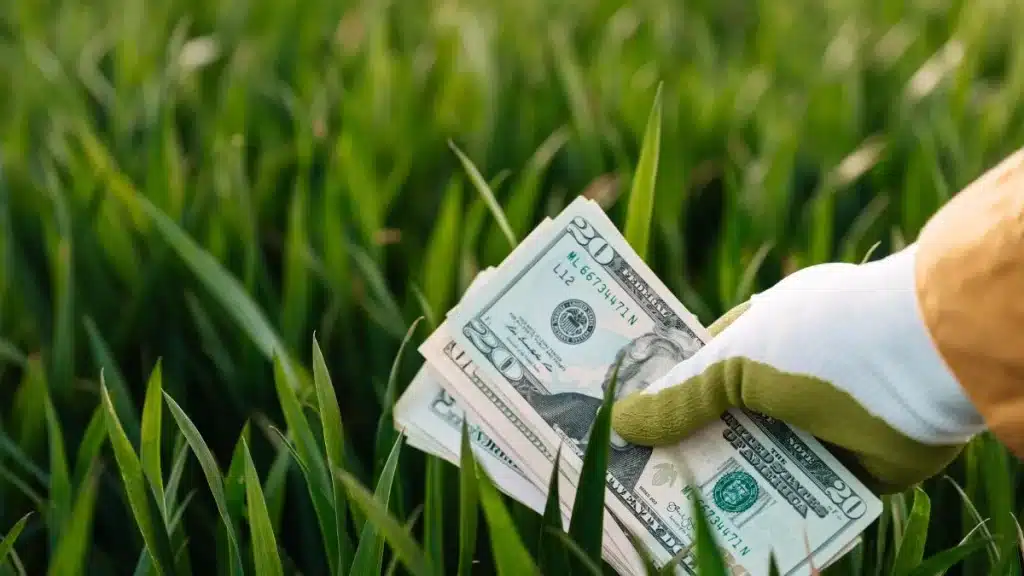 má gestão financeira rural