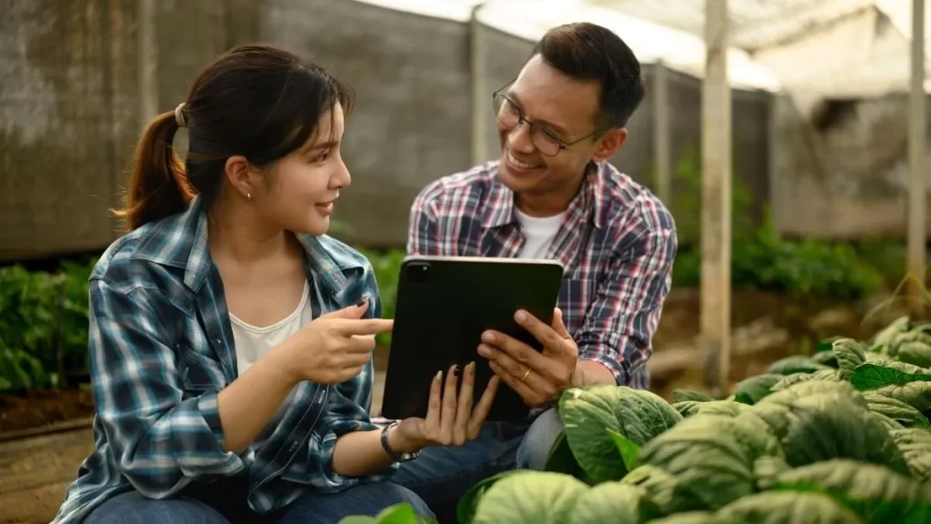 planejamento da safra