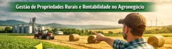 Por que propriedades rurais bem geridas lucram mais mesmo em anos difíceis