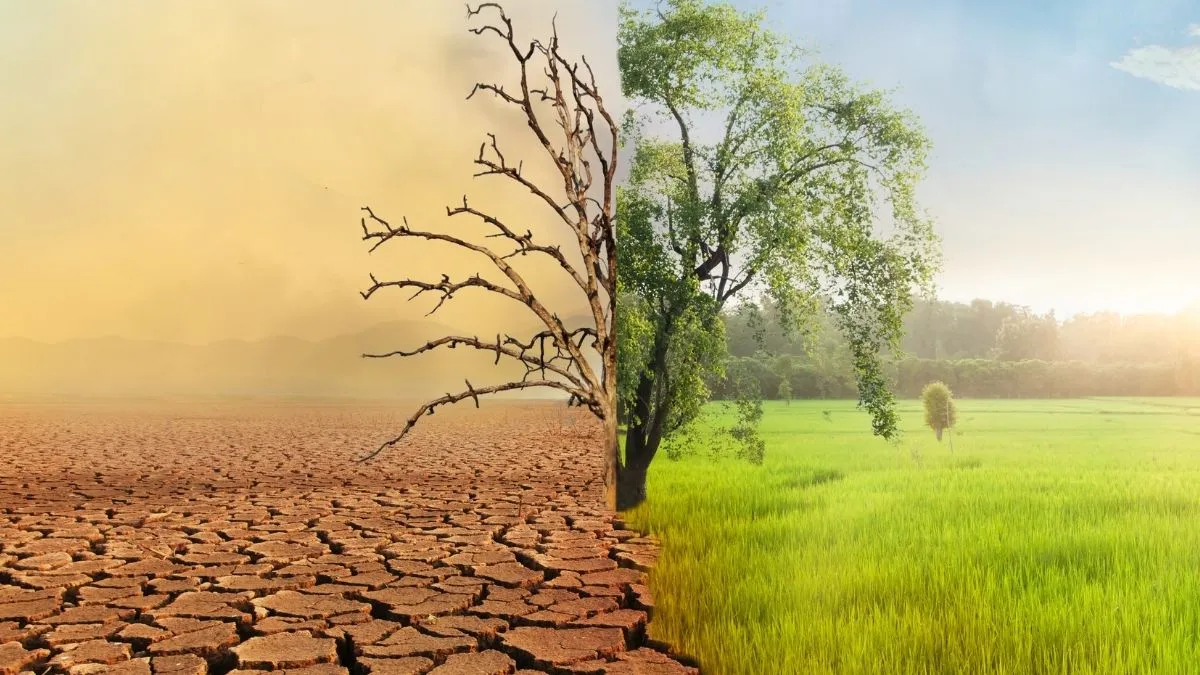 Risco climático no agro: como planejar a safra com mais segurança