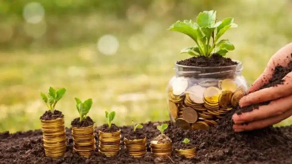 proteção financeira quando o clima falha