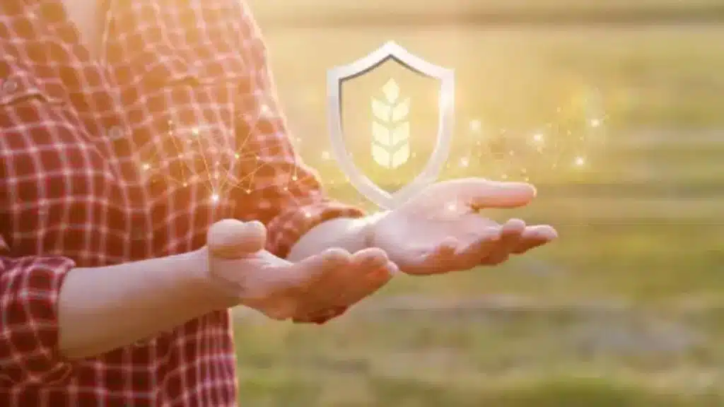 como se proteger financeiramente no agro