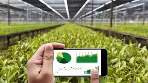 Tecnologia no agro: solução real ou custo desnecessário